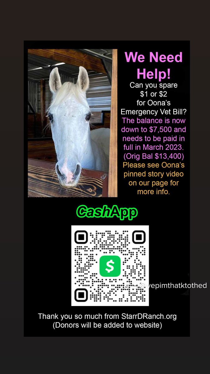 Oona’s emergency vet bill has to be paid in full by March 31,2023. If you have a spare $1-$2 dollars, can you please help?
#horse #emergencyvetbill #vetbill #rescuehorse #cashapp #donation #donations #crowdfunding #charity #501c3 #nonprofit #horsesanctuary