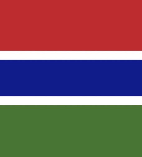 sammy_skillz's tweet photo. The Flag.                          The Face.
Happy Independence Day 🇬🇲 https://t.co/fQj4FDMW5Q