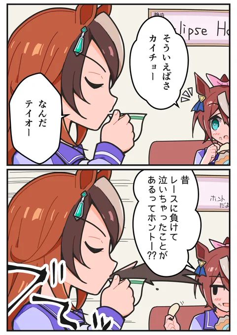 カイチョーのヒミツ!
#シンボリルドルフ #トウカイテイオー 