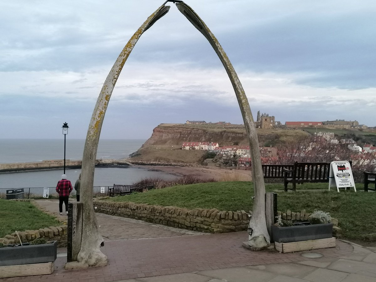 riabythesea's tweet photo. Whitby and Boulby towards Staithes ππ¦ beautiful views all around the north yorkshire coast line π
#treechiefs
#riabythesea
#riasseas
#mickandria
#whitby
#boulby
#dracula https://t.co/T4R4wO3xL0