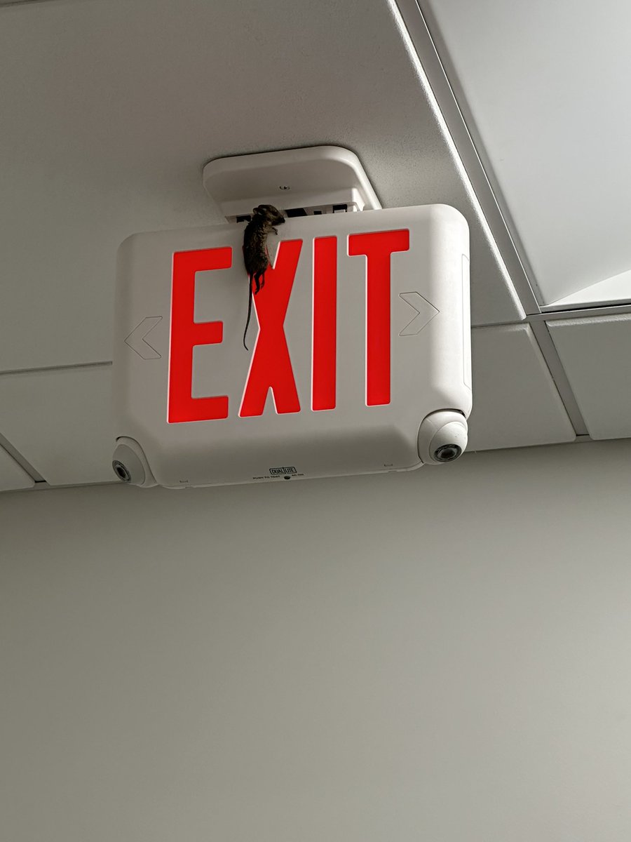 007bugman's tweet image. When you get that call that makes you go 🤔 #irony