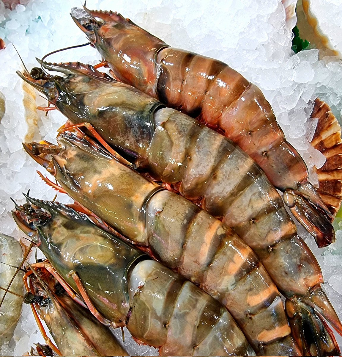 Ramsdens tweet media