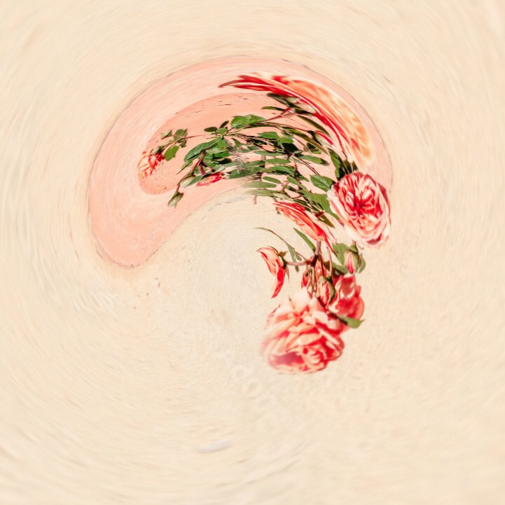 camnimbus's tweet photo. Artwork by @svnthltr 

Cascade, out now! 🥀

https://t.co/W9U8f9WFk6 https://t.co/ed7jC7l3qm