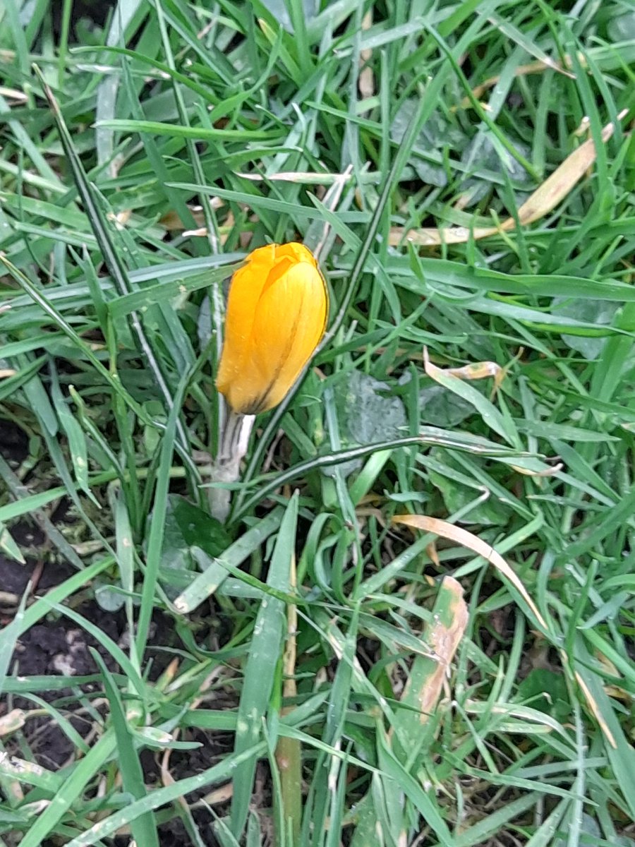 TeresaMCoombes's tweet photo. A glimmer of hope after a ridiculously mad week #springonitsway βοΈβοΈπ https://t.co/gcASMdXZri