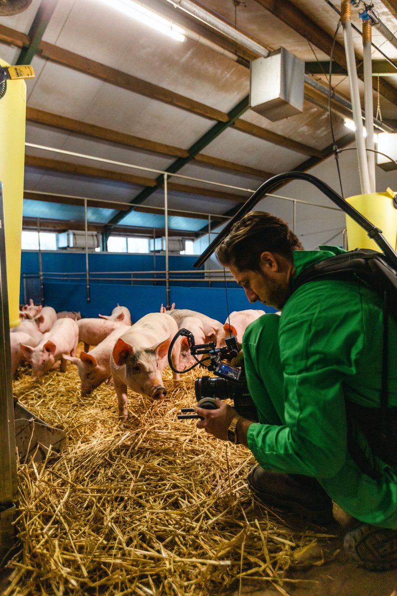 Royal_Avebe's tweet photo. This is not a potato! 🥔

Soon you will know what it is. Together with Locals®Agency we created a new brand movie. Stay tuned!

#behindthescenes #thisisnotapotato #brandmovie #innovationbynature https://t.co/aXdPzu3Wt2