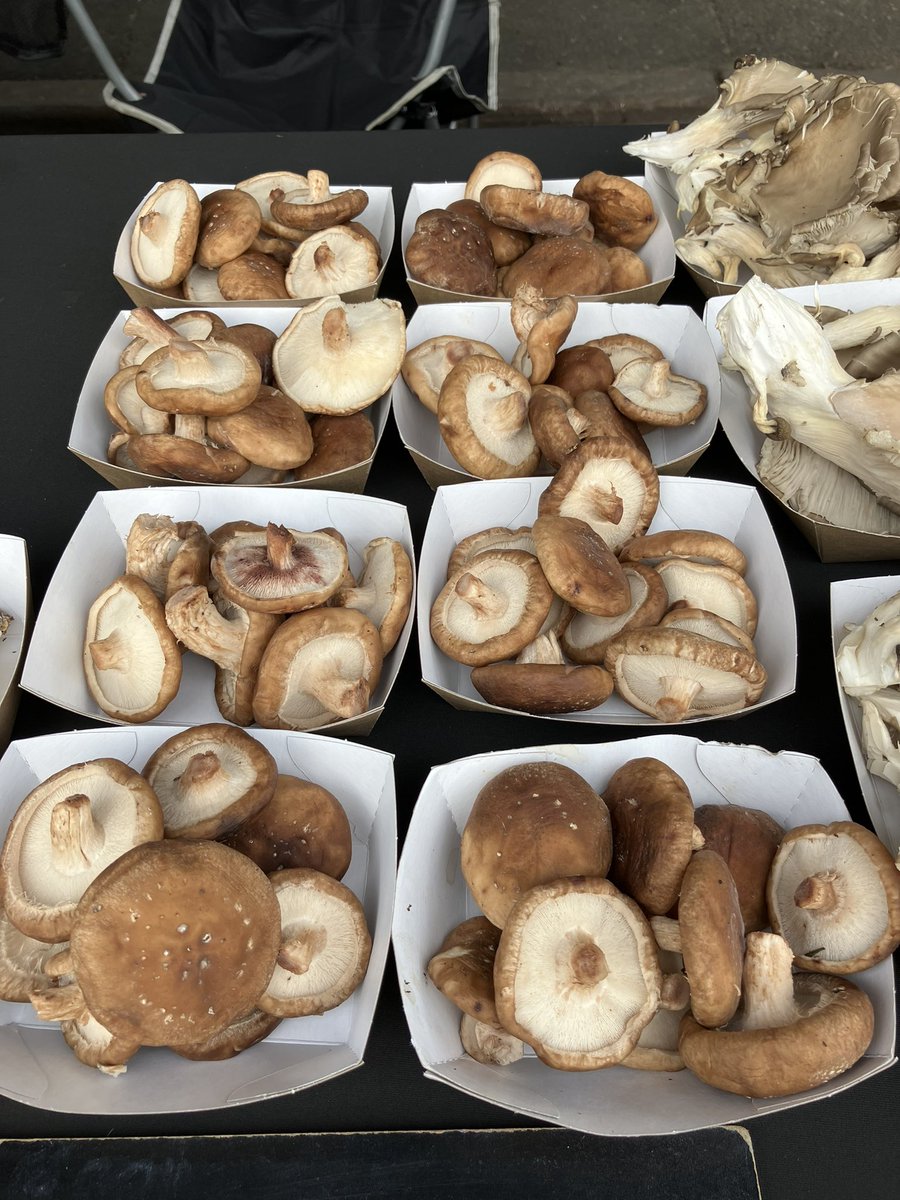 SurbitonFarmersMrkt (@surbitonfm) on Twitter photo We are open! Here in Maple Road until 13.00 today. Pick up some tasty treats and make a donation to <a href="/BritishRedCross/">British Red Cross 🧡</a> to support aid in Turkey and Syria. We are open! Here in Maple Road until 13.00 today. Pick up some tasty treats and make a donation to <a href="/BritishRedCross/">British Red Cross 🧡</a> to support aid in Turkey and Syria.