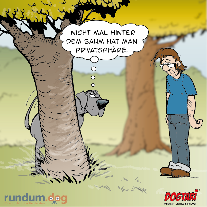 rundumdog's tweet photo. Es gibt Hunde, die mögen es gar nicht wenn man zusieht 🤣 
Doch was will man machen... als Halter möchtest Du doch schnellst möglich wieder aufräumen...

#Privatsphäre #Hundehaltung #dogtari #cartoon https://t.co/iEDzlOI2ob
