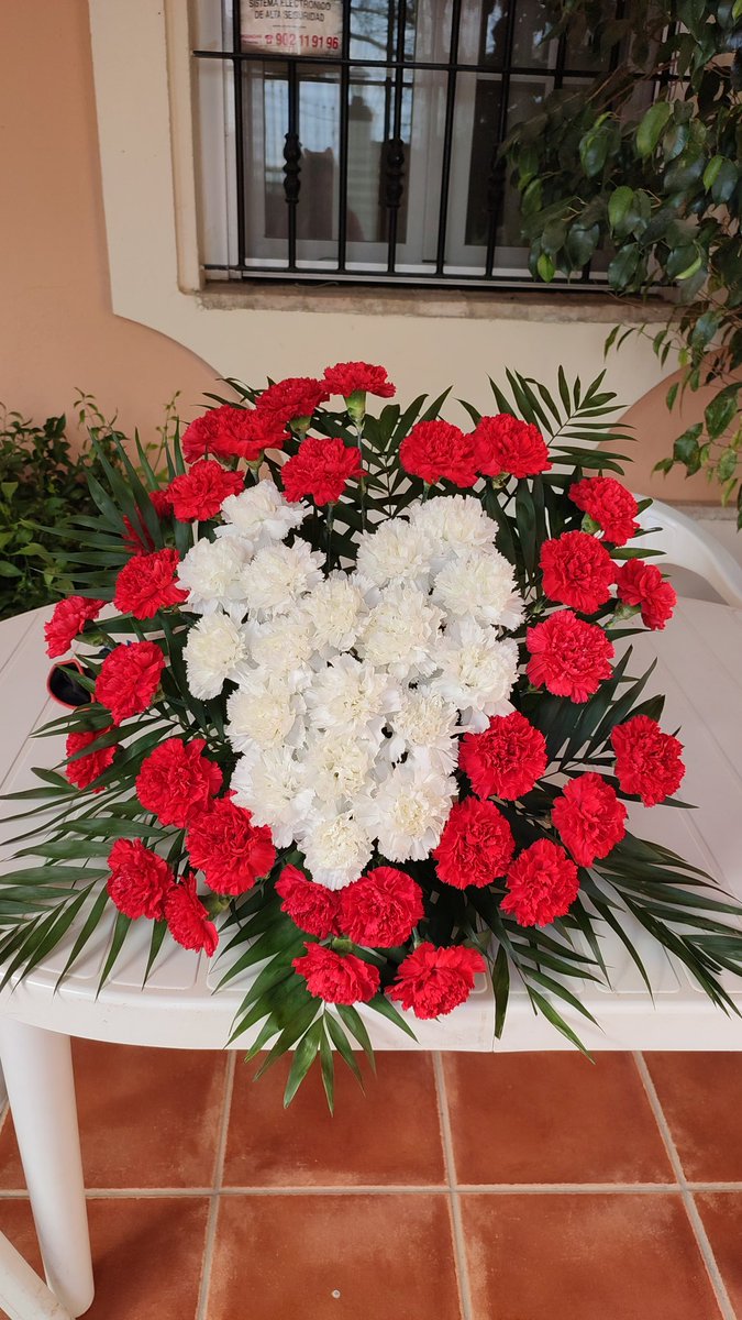 🌺yai🌺 tweet media