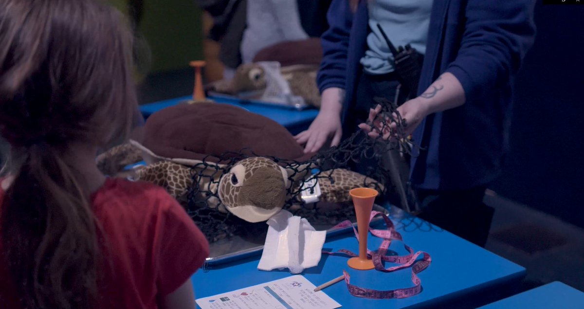 TheDeepHull's tweet photo. There's still chance to visit us this weekend and help treat our poorly turtles: Titan, Tizzy, Tony and Tina, at our Turtle Hospital half-term Event! ๐ข
Find out more and book: https://t.co/LCQ0vMEReN
#TheDeep #TheDeepHull #Hull #Aquarium #HalfTermEvents #WhatsOnHull #Turtles https://t.co/OYh5ci1lnD