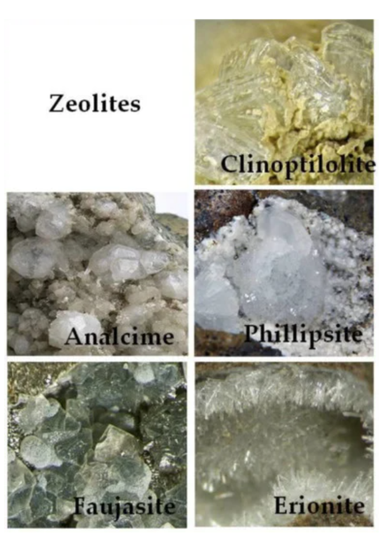 Zeolite a detoxifier of heavy metals, helps with gut recovery and may aid brain function. A