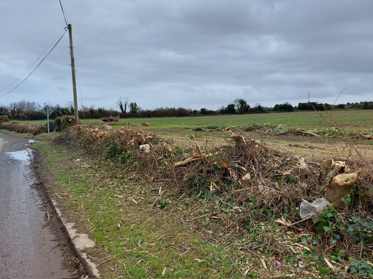 stewartliam's tweet photo. @Fingalcoco I was shocked yesterday to see the destruction of hedgerows at the Raheny roundabout in Lusk at a site earmarked for housing. This is nothing short of environmental vandalism. We need hedgerows for biodiversity. Whoever organised this should be ashamed. https://t.co/Tmf6DYLQHt
