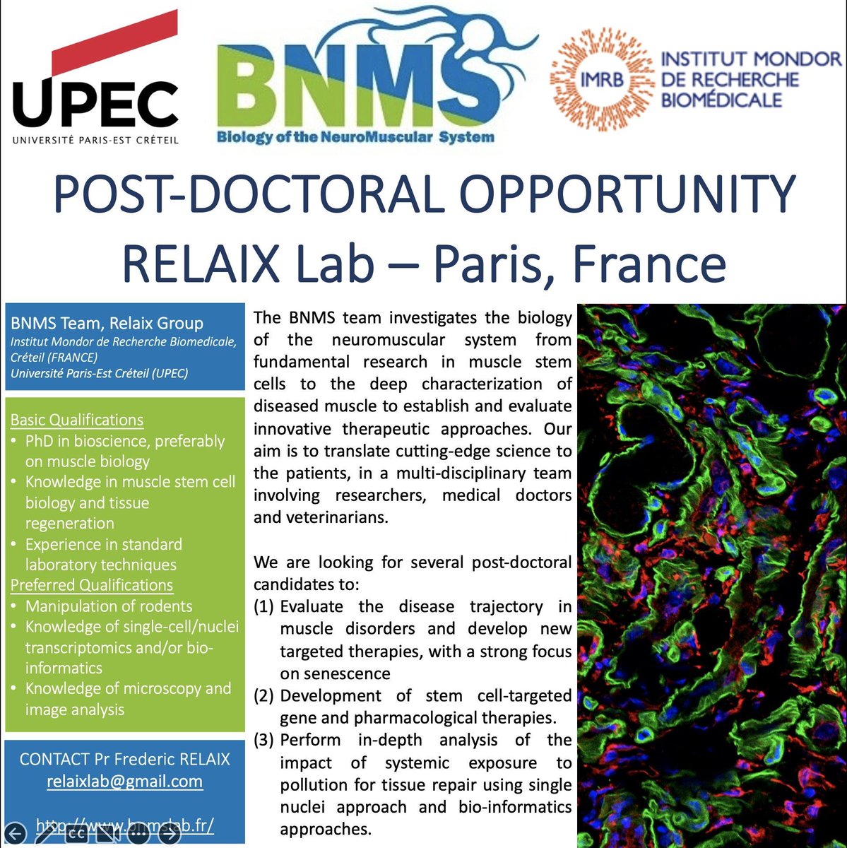 Relaix Lab tweet media