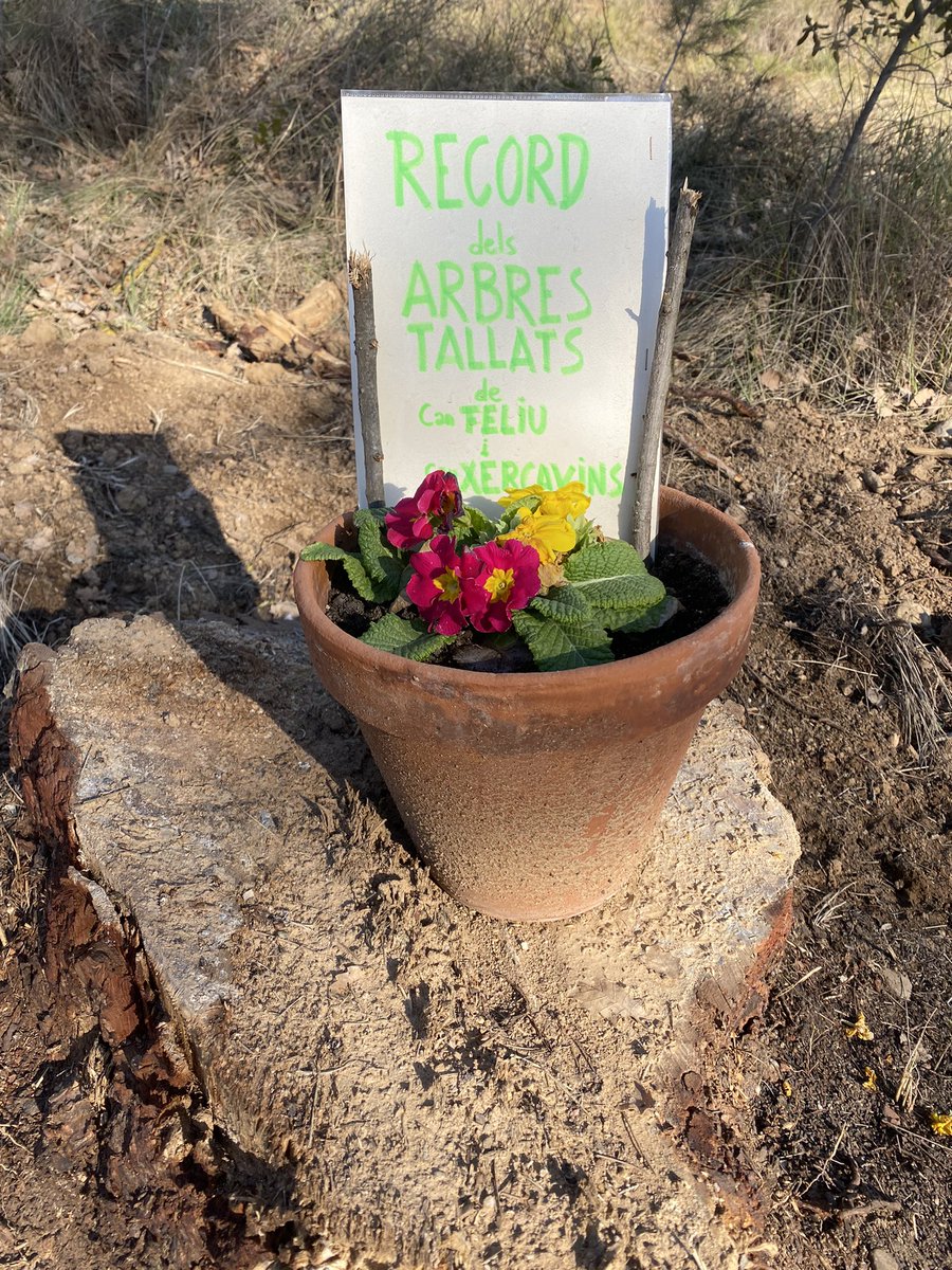 volemrubiverd's tweet photo. RIP @Rubicity MOLESTAVA PER LES OBRES? Creiem que de cap manera! @AndresMedranoRU @AjRubi https://t.co/x0cfSJ6nMt