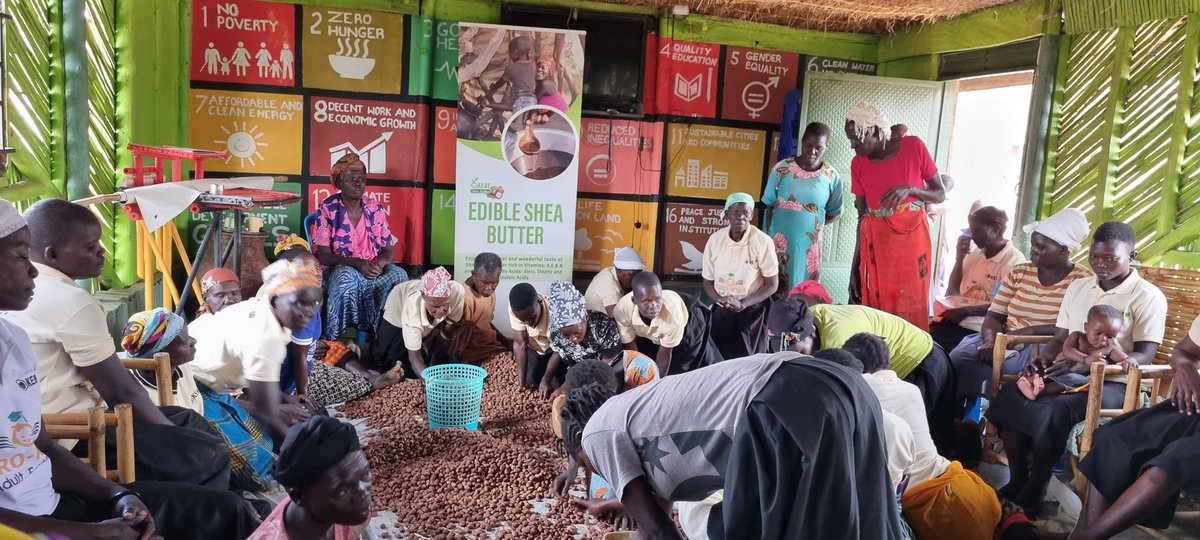 OkereCity's tweet photo. Our shea, our shared wealth. #sheacoop #sheabutter #sheanuts #shea https://t.co/oMAprwFhVV