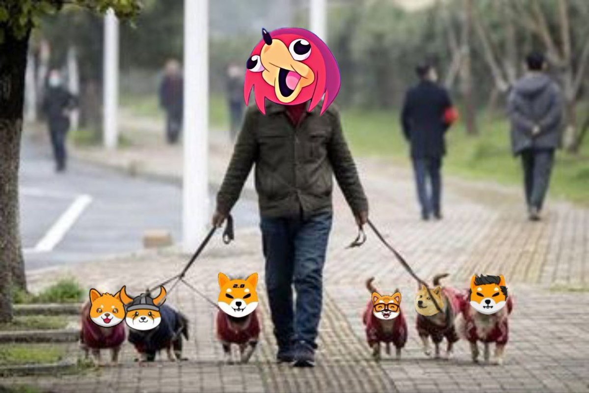 BlackEterna's tweet photo. @AltCryptoGems Morning walk with Da Wae bruddas @dawaecoin $dawae #dawae #dawaetoken #disisdawae https://t.co/ot20qngMmW