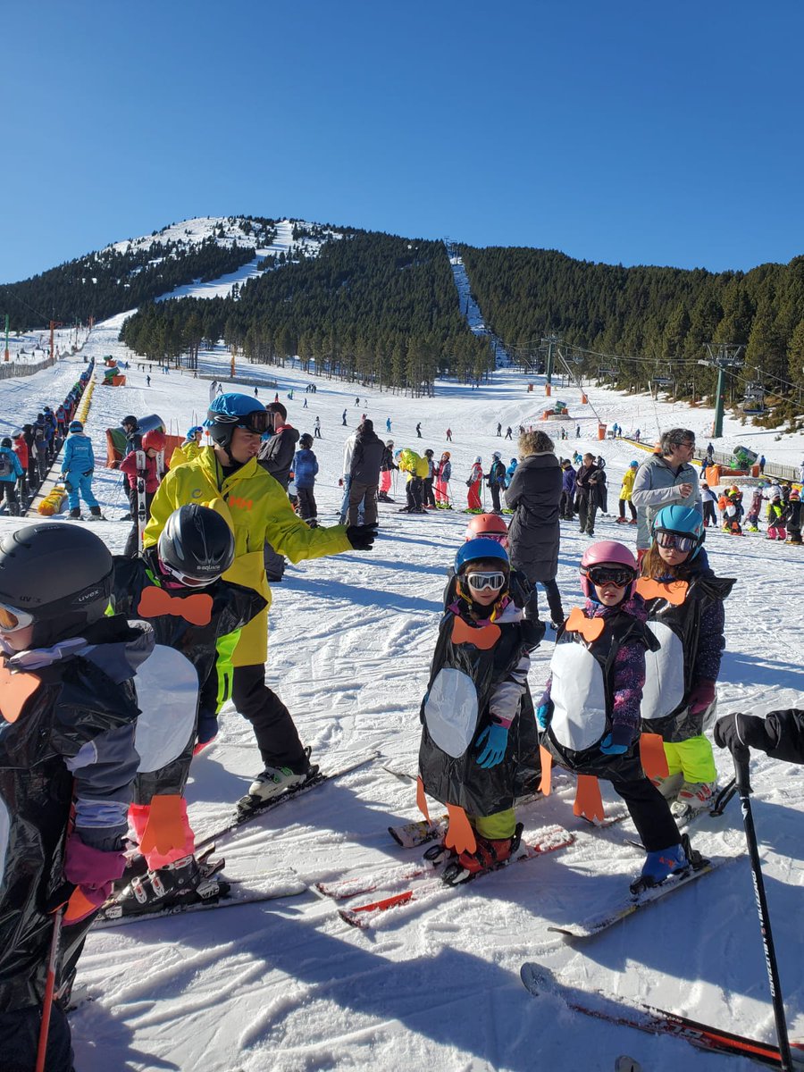 celacoma's tweet image. Les primeres imatges de la invasió pingüins a @portdelcomte #pinguins #Carnaval #CarnavalPortdelComte #LaComailaPedra #Carnaval2023 #ValldeLord #CarnavalCELaComa