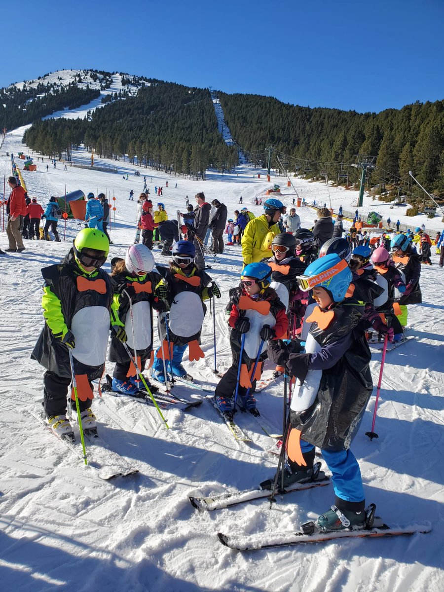 celacoma's tweet image. Les primeres imatges de la invasió pingüins a @portdelcomte #pinguins #Carnaval #CarnavalPortdelComte #LaComailaPedra #Carnaval2023 #ValldeLord #CarnavalCELaComa