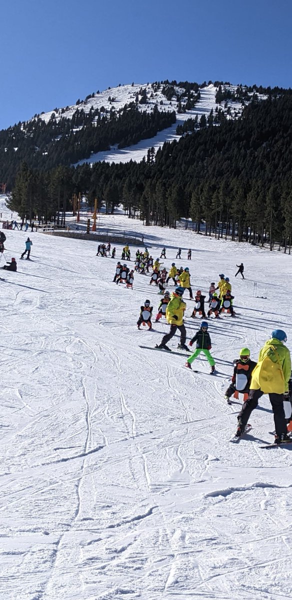 celacoma's tweet image. Les primeres imatges de la invasió pingüins a @portdelcomte #pinguins #Carnaval #CarnavalPortdelComte #LaComailaPedra #Carnaval2023 #ValldeLord #CarnavalCELaComa