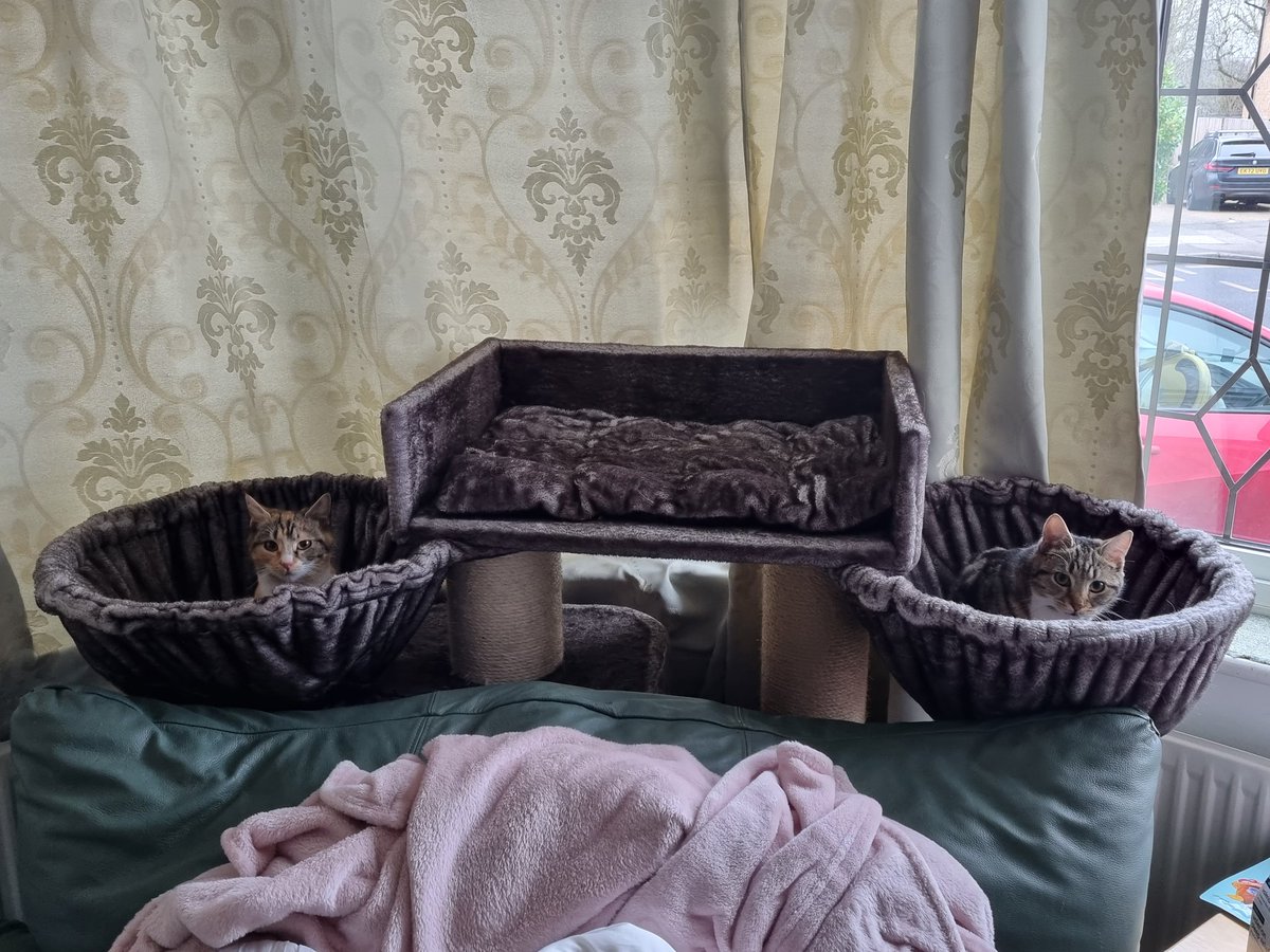 Steven Barry Ratty tweet media