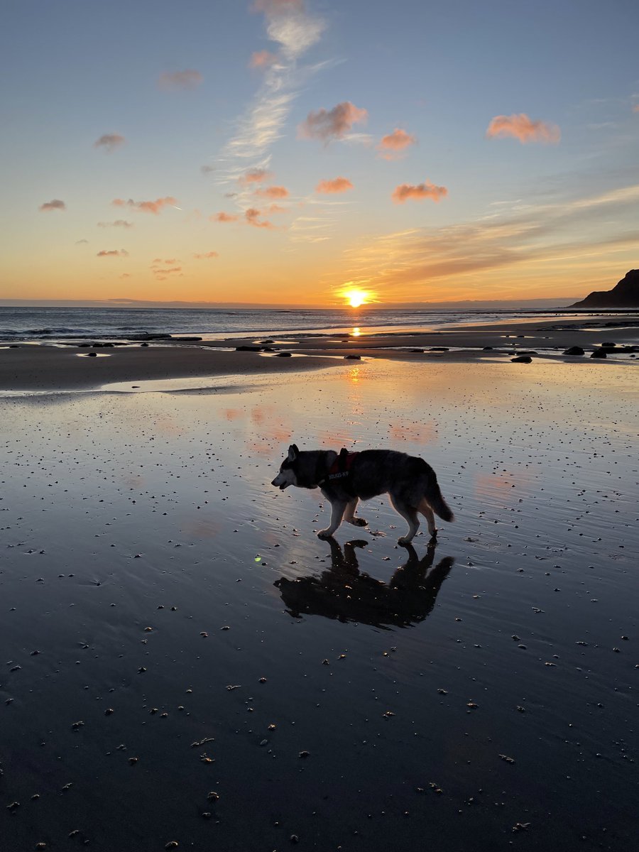 Got my mum up really early so we could watch the sunrise together on da beach before we go home tomorrow 🐾❤️🐾#robinhoodsbay #dogsoftwitter #seniorpupsaturday