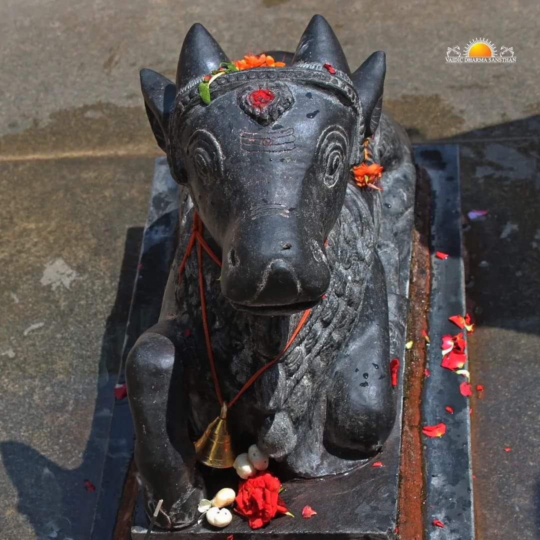 RIPUSUDAN20's tweet photo. Maha Shivratri Spl Darshan of Sri Saamba Parameshwara Temple, Bangalore Ashram

#mahashivratriwithgurudev #PowerOfShivratriSankalpa #mahashivratri #mahashivratri2023 #shiva #saamba #parameshwara https://t.co/KQnuUkosXp