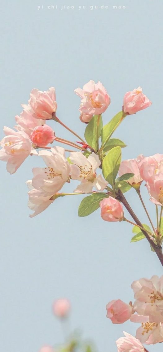 春天萬物復蘇適合爬山賞風景 https://t.co/emsIPlS64A