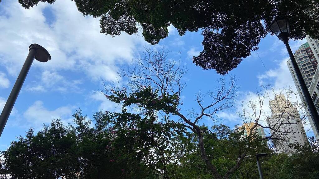 KevinLThornton's tweet photo. Finally!!! Some beautiful, gorgeous days ahead in HK!!! It’s “Running” weather!!!! Gotta prep for the HK Disney 10K on March 19th!!! Wish me luck as it’s been 3+ Years since my last race!! 😬

#run #running #exercise #workout #igfitness #igworkout #HK… https://t.co/PXV6bW9gCV https://t.co/sxdaZJfHqu