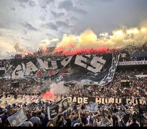 A Gaviões da uma aula de torcida no Anhembi..