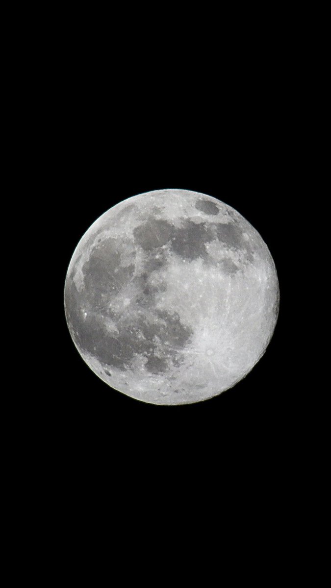 MoonTelAviv's tweet photo. Feb-6, 98.9% Full Moon. #moon #moonphotography #fullmoon #photographer https://t.co/sr1EwE6PEI