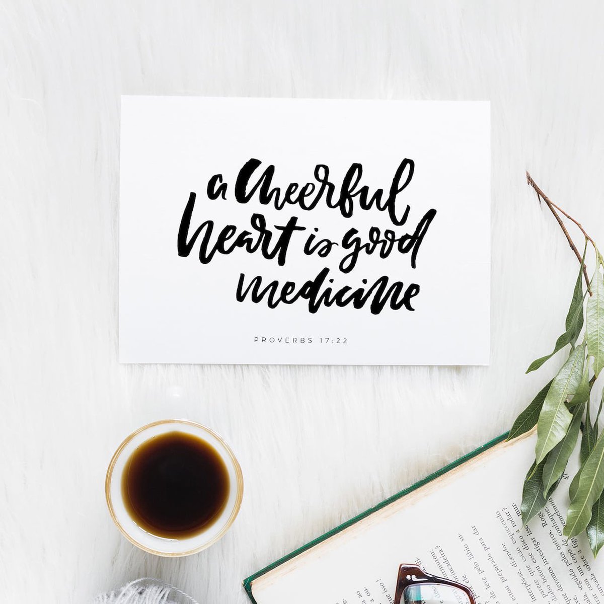 Trinity_Dobbs's tweet photo. #dailydevotions #bibleverse #cheerful #good  https://t.co/OeoDCCrMt9 https://t.co/bZ3Tcm82q0