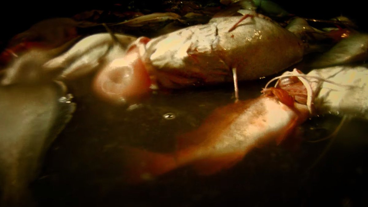 Obscure_Stills's tweet photo. Guess the movies, part 10 https://t.co/IghBroqu05