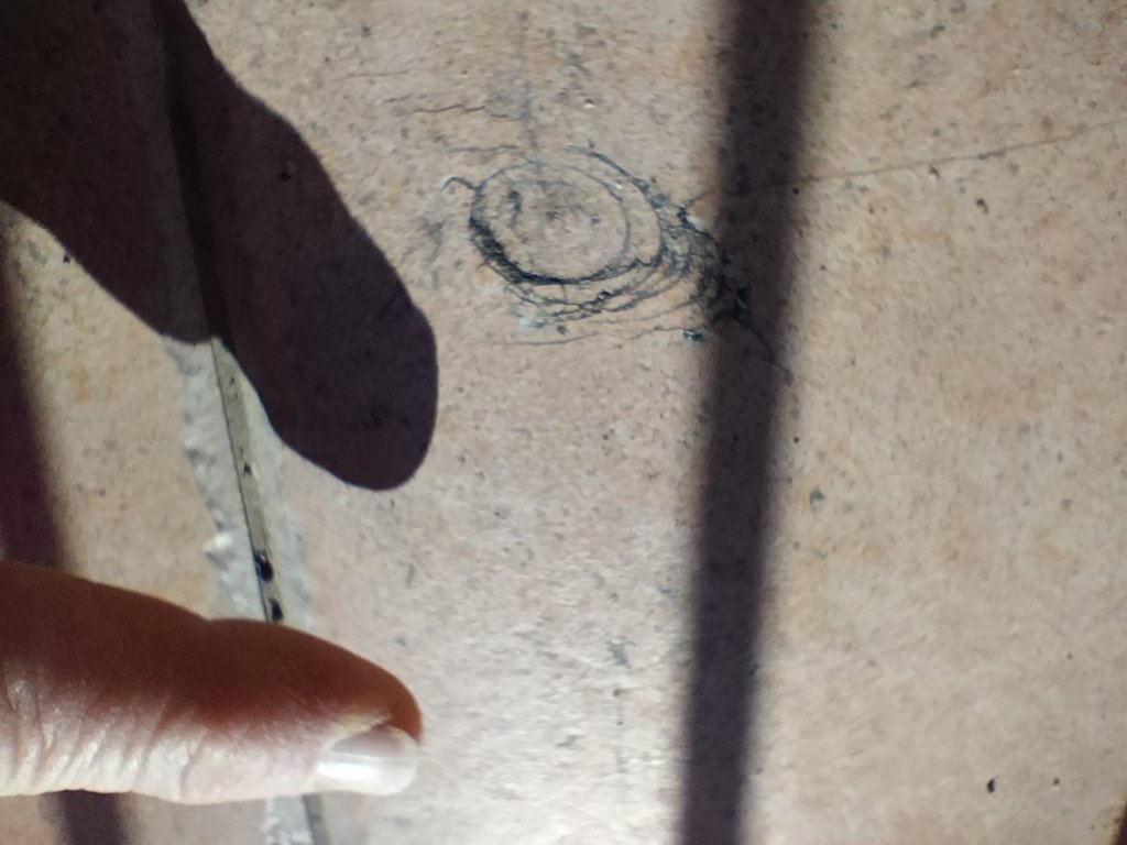 andreabettini's tweet photo. I frammenti di #meteorite caduti il 14 febbraio sul balcone della famiglia Losignore alla periferia di Matera. Pesano circa 70 grammi e secondo i calcoli della rete @PRISMA_meteore di @mediainaf sono arrivati al suolo a 300 km/h. L'impatto ha danneggiato la piastrella nella foto https://t.co/MeKGLeiEtJ