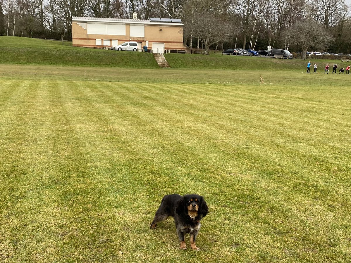 PurbrookCC's tweet photo. Work on the #cricketsquare this morning getting ready for the #CricketSeason #summer2023 our first back in @hantscl for a while #purbrookcricketclub https://t.co/LTTYZOeKrg