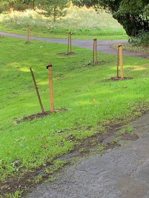 Rob Taylor tweet media