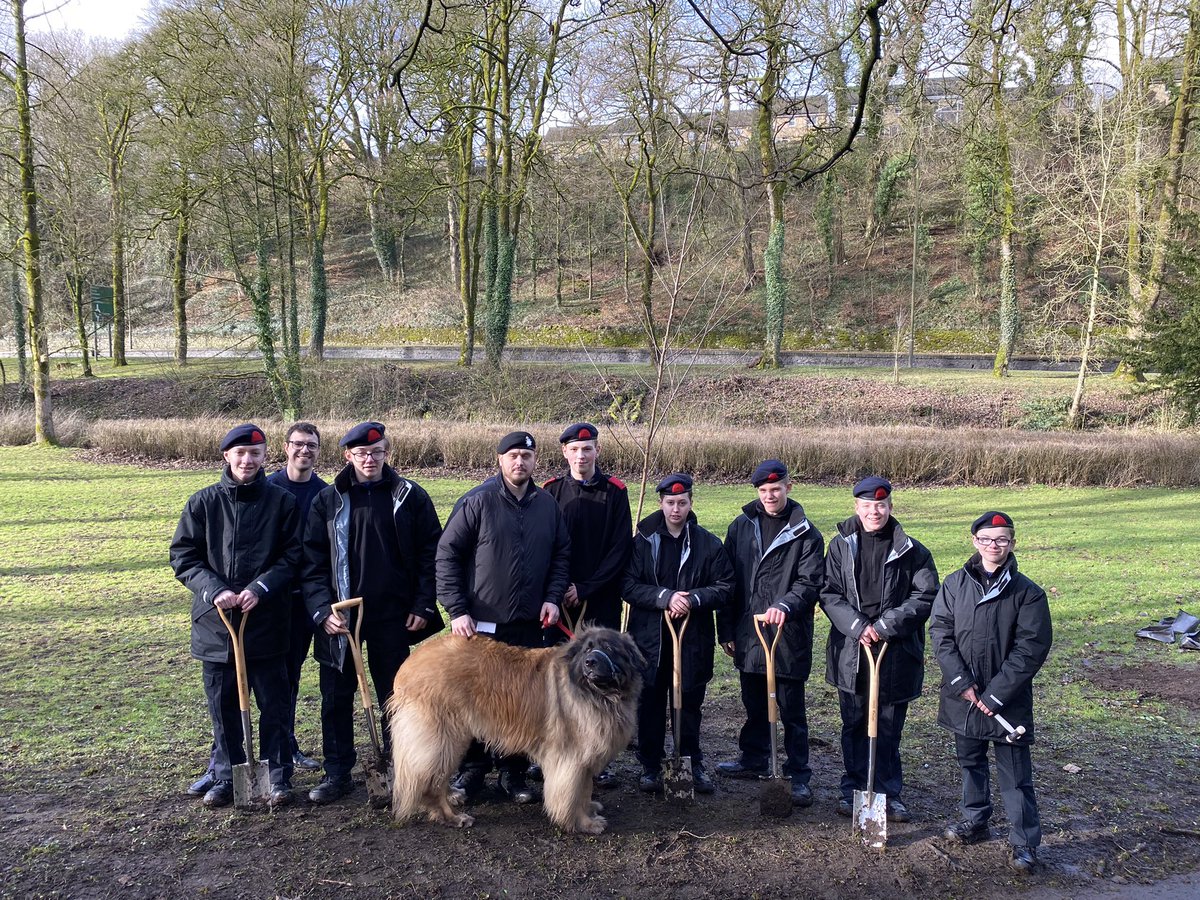 Rob Taylor tweet media