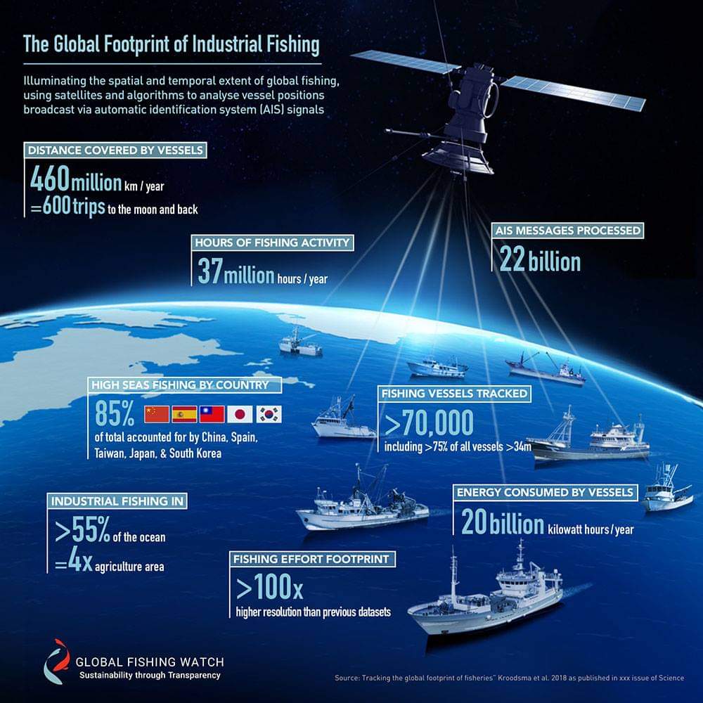 SkyLaGatta's tweet photo. Global Footprint of Industrial Fishing.

Industrial Fishing >55% of the ocean

Energy Consumed by Vessels 20billion kw hrs/year

"HIGH SEAS FISHING BY COUNTRY 85%:
China, Spain, Taiwan, S. Korea, Japan"
Source:GlobalFishingWatch
#BottomTrawling #PurseSeining #HookandLine #ByCatch https://t.co/tI7G9wlhE1