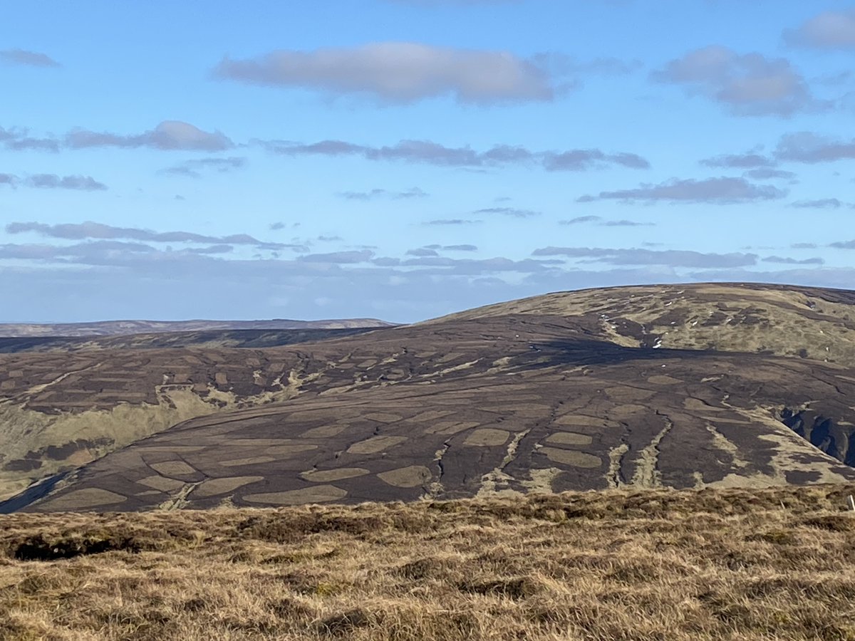 RewildScotland's tweet photo. In Scotland we annually kill hundreds of thousands of mammals and birds so we can shoot grouse. Why? https://t.co/YtOBribY6p