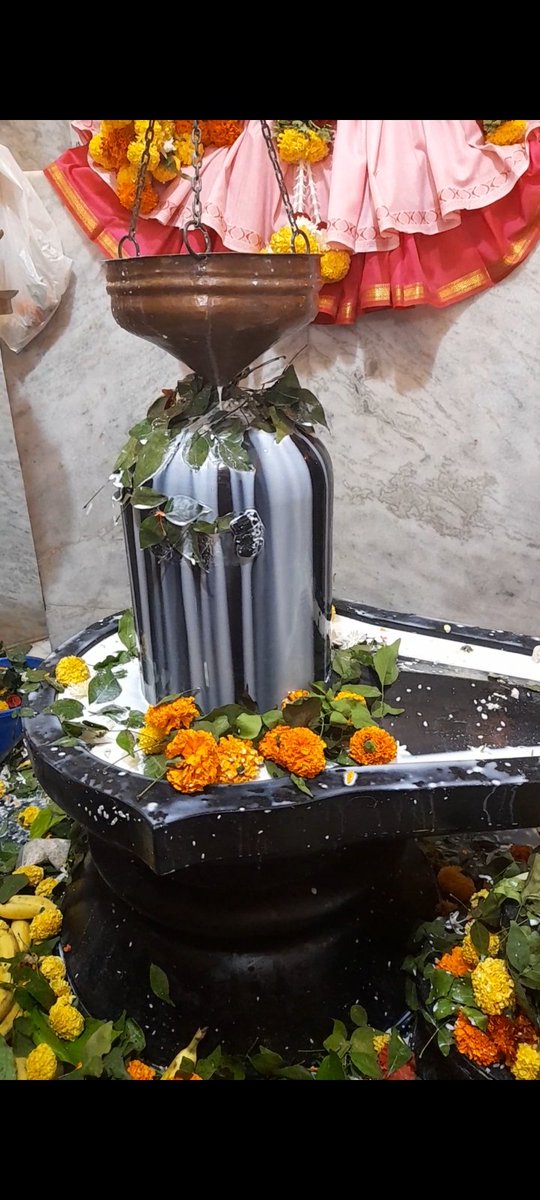 PagiSneha's tweet photo. Hey with the intention of mere sath shree kedarnath chaloge ?#Mahashivratri #Mahashivratri2023 
Om Namah Shivay❤️ https://t.co/WgCmrOWHTp