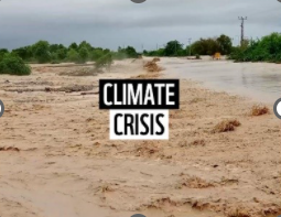 WWFJM_'s tweet photo. Weather crisis related problems have gone up in the past 20 years by 40% and WWF use their donations to support people who have been affected and also wildlife, thousands of people die each year. 
#Crisis 

#WWF 

#Donations 

#Wildlife https://t.co/IZznH7pKwb