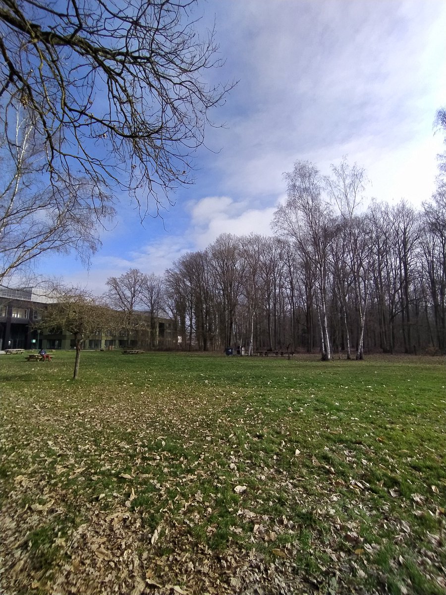 DCSalles's tweet photo. Já que interessou a muita gente, aqui vão mais algumas fotos legais da @UnivParisSaclay 

Ela fica num platô, então tenho que subir ~350 degraus para ir para a aula, mas a visão lá de cima é muito bonita https://t.co/yGVlwPkFOs