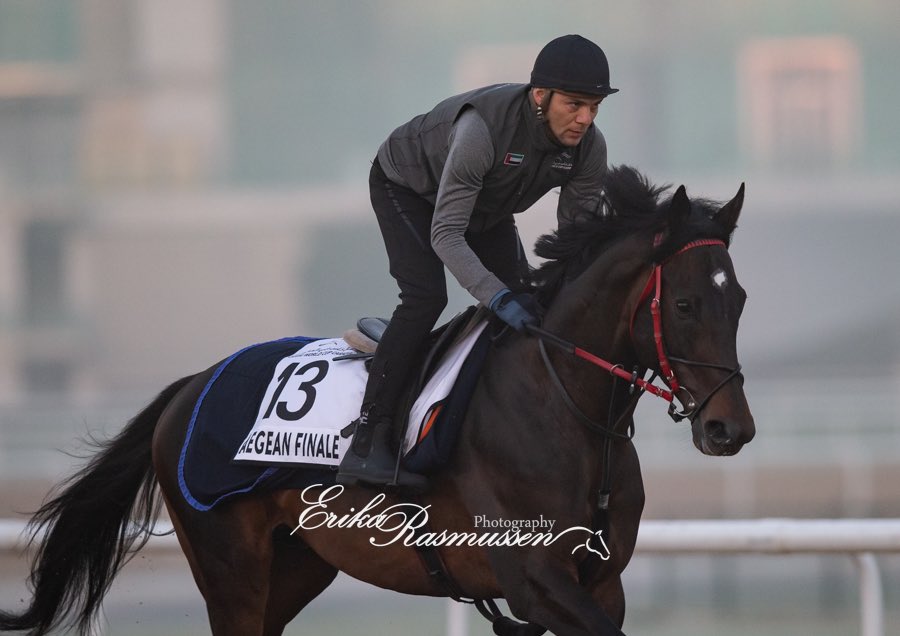 #aegeanfinale 👑
🇹🇷