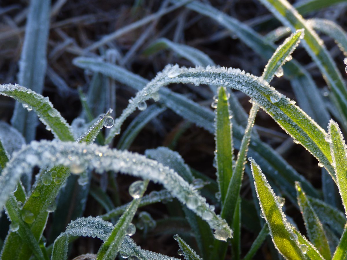MeteoMat's tweet image. #febrerofriorecord #Heladas
Historica Helada en Febrero
🌡️Berrotaran -1.0°C
🌡️ZR La Dormida -1.5°C
🌡️Paso Cabral -1.2°C
🌡️La Cruz -2.1°C
🌡️ZR Elena -2.8°C
🌡️Tancacha -0.1°C
🌡️Rio de los Sauces 0°C
🌡️Gigena 0.3°C
🌡️Las Gamas 1.0°C
🌡️Hernando 1.0°C
🌡️Almafuerte 1.8°C
🌡️Rio 3° 1.9°C