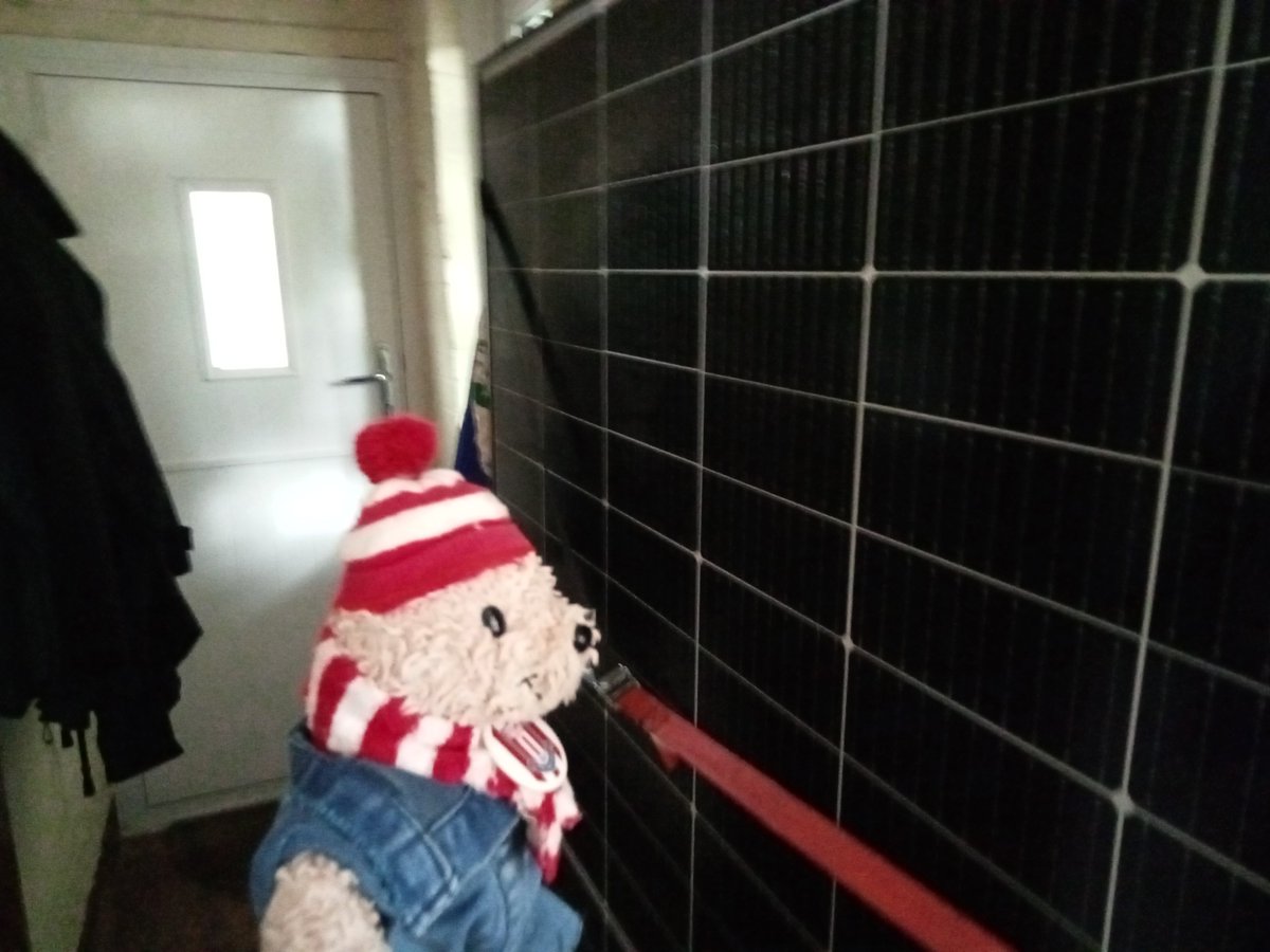 SonningBear's tweet photo. Hanley Bear has been out to see the solar panels before they go up on the roof next week.

They are much bigger than a small bear!

#SmallBearsLoveScience #EcoBears https://t.co/r6z0DOmUF7