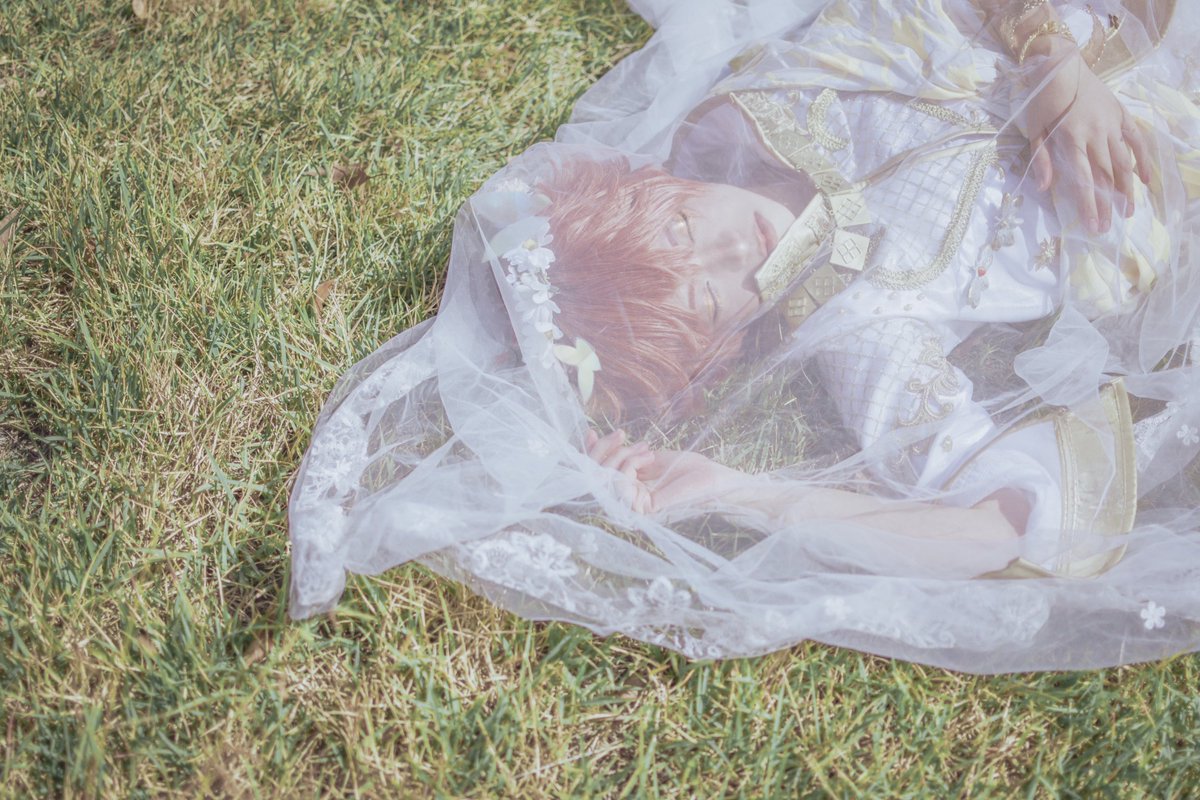 twst  cos

fairy gala if

p.ミラにん🥕さん