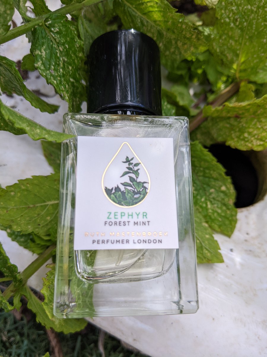 🌿"A pleasing earthiness and a cool piquancy that lifts it above many other fragrances." Check out my review of Ruth Mastenbroek Zephyr, from her trio of garden inspired eaux de toilettes. This is the scent of the great outdoors! tinyurl.com/iszephrm <a href="/RuthMastenbroek/">Ruth Mastenbroek</a> #gifted