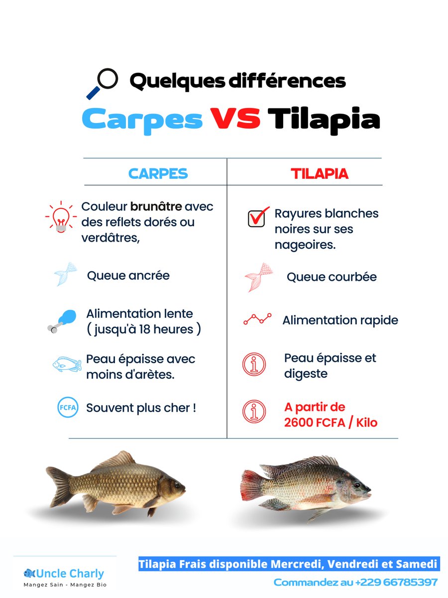Uncle Charly Tilapia tweet media