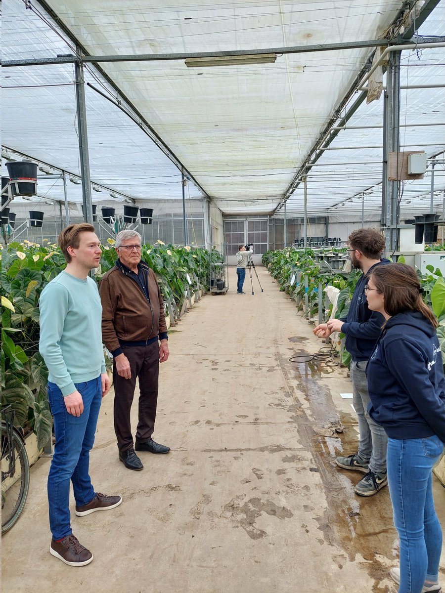 Met <a href="/RTV_L/">RTV Lansingerland</a> bij Bouman Anthuriums om opnames te maken van het werk van Piet van der Burg uit Berkel <a href="/Lansingerland/">Gem. Lansingerland</a>, die met Pasen de Sint-Pieter in Rome weer in de bloemen zet. #bloemenarrangeur van de #Paus #bedanktvoordebloemen #urbietorbi
