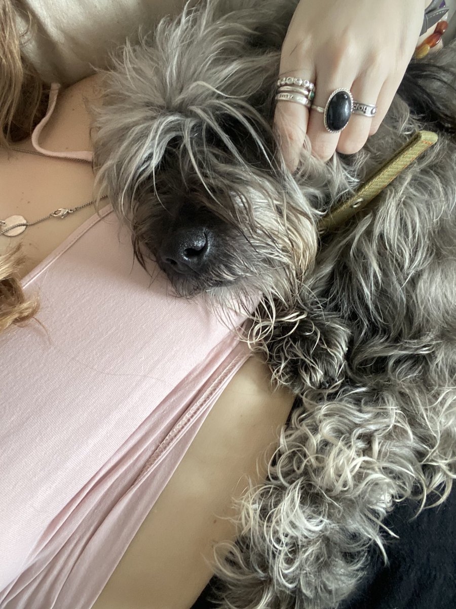 spitsiina's tweet photo. Я очень счастлива, потому что у меня теперь живет чудо собака ♡ ♡ ♡ https://t.co/FtNiRrPLZu