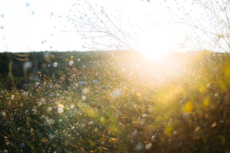 DMinenco's tweet photo. @exolorian 🧡" Summer light ''

 1/1  on 
@opensea

0.07 $ETH 

🔗https://t.co/QWRfdLtX2L https://t.co/p0KVmWV5m1