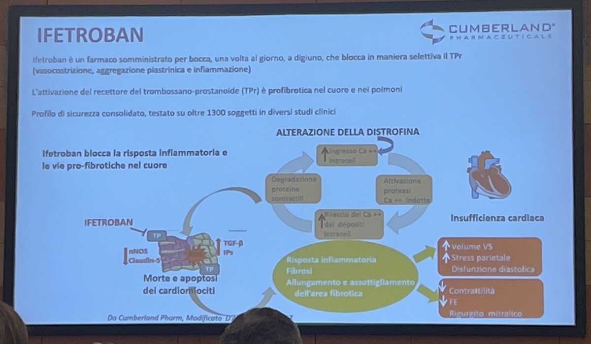 DPPSpain's tweet photo. Doctores de dos hospitales exponen los resultados clínicos de varias posibles líneas de tratamiento con EDG-5506, Givinostat, Ifetroban, CAP-1002 y Vamorolone #confpp23 #duchenne #becker #desafioduchenne https://t.co/KJjDOXXPLQ